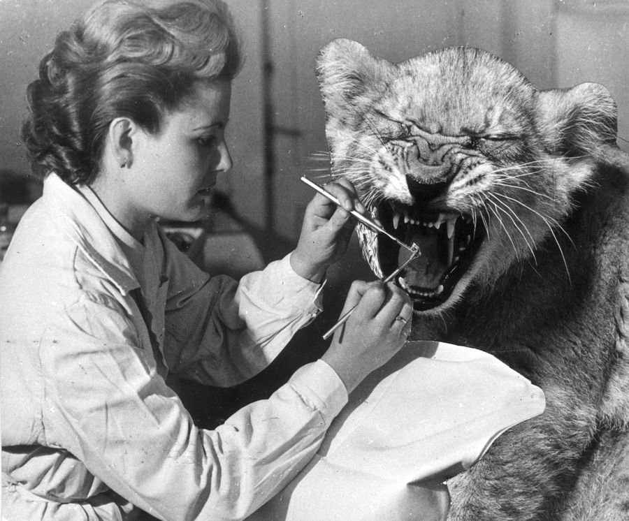 Go Ahead And Keep Not Flossing, Dirty Scoundrels
