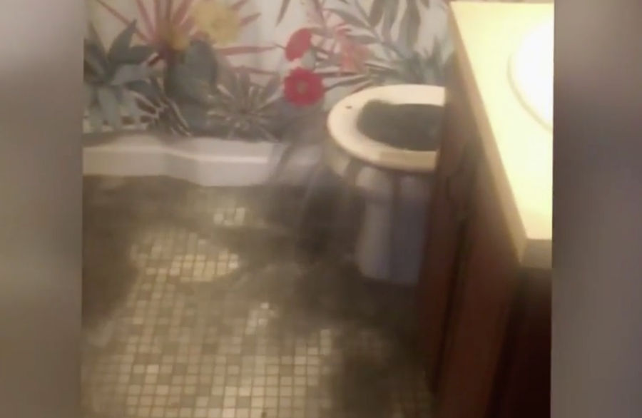Behold The Destructive Force Of An F5 Poop Tornado