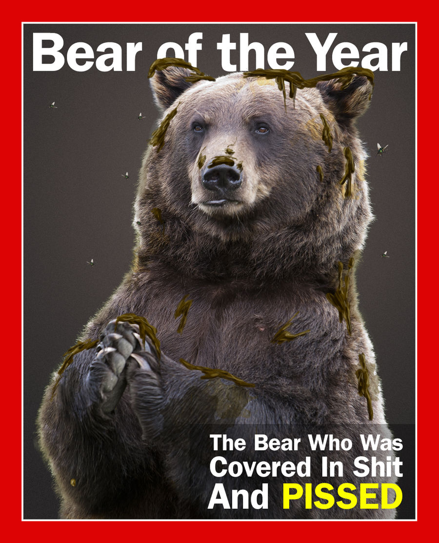 The 2016 Deadspin Bear Of The Year