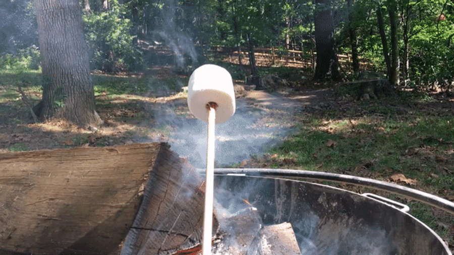 I Rebuke Your Bullcrap Marshmallow Roasting Tactics In The Strongest Possible Terms