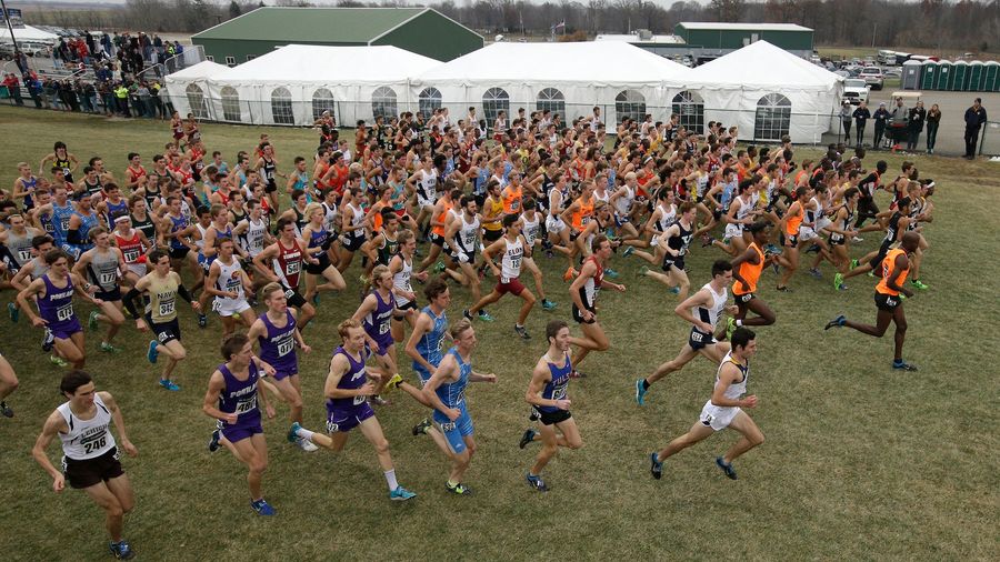 15-Year-Old Cross Country Runner With Autism Assaulted After Wandering Off Course