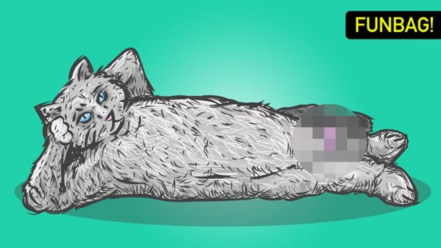 Help!  My Cat Wants A Handjob!
