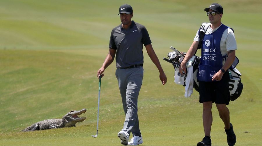 PGA Tour Event Made Much Cooler By Crew Of Fun-Loving Gators