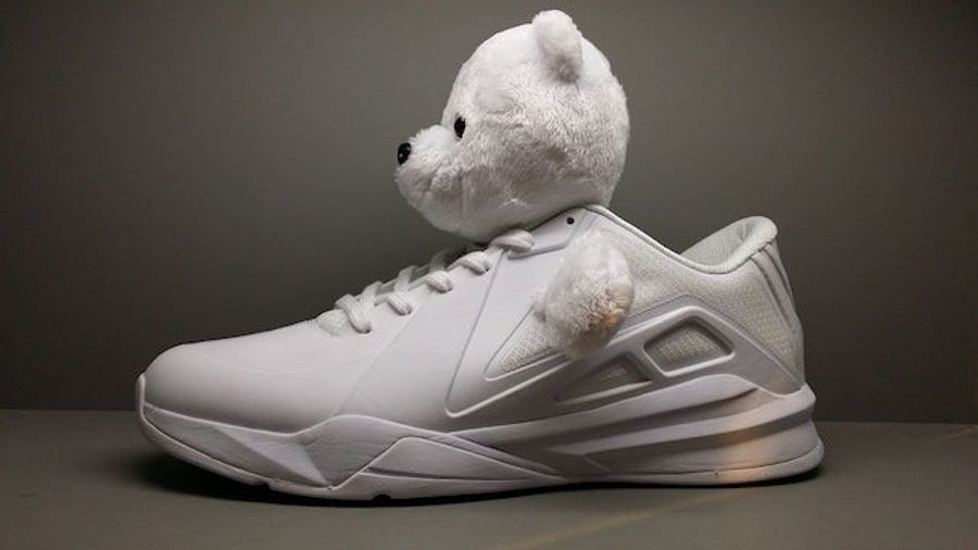 There Are No Pandas On Metta World Peace's New Panda Shoes