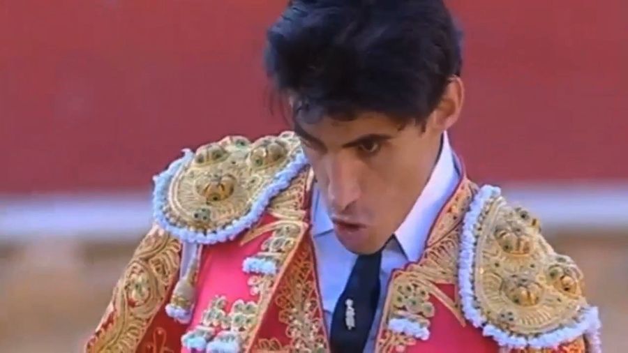 Spanish Bullfighter Gored To Death