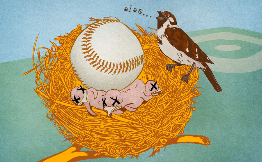 Welcome To Baseball: Spring Training Memories In Sunny Orlando