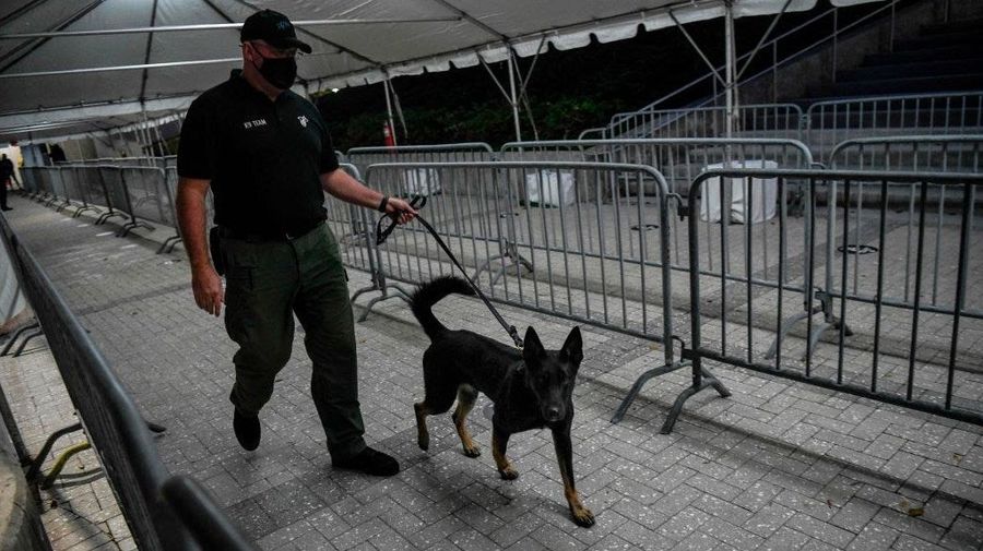 Paw Patrol: NASCAR to begin using VERY GOOD DOGGOS for COVID detection