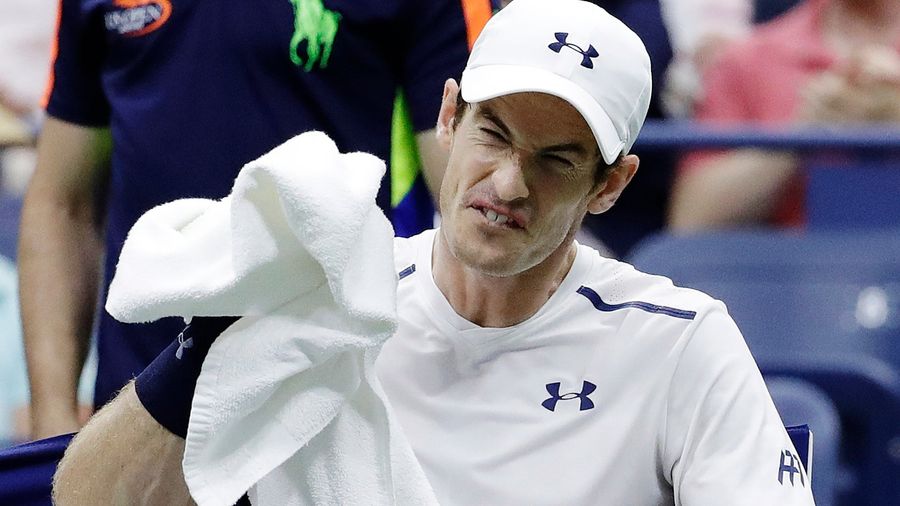 Andy Murray Maimed (And Probably Killed) A Butterfly