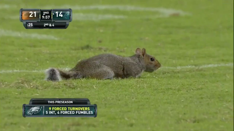 Now Here&#39;s Some Quality Preseason NFL Action