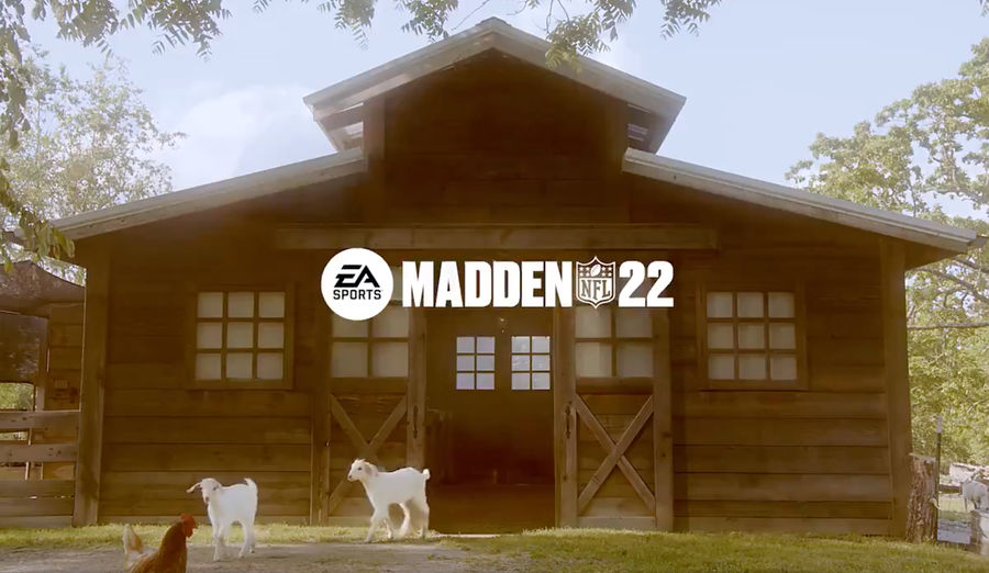 Deadspin presents: Madden old GOAT/young GOAT combos