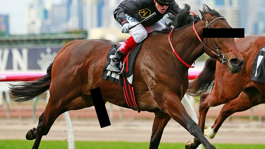 Thoroughbred Trainer Suspended 18 Months After Horses Test Positive For Boner Pills