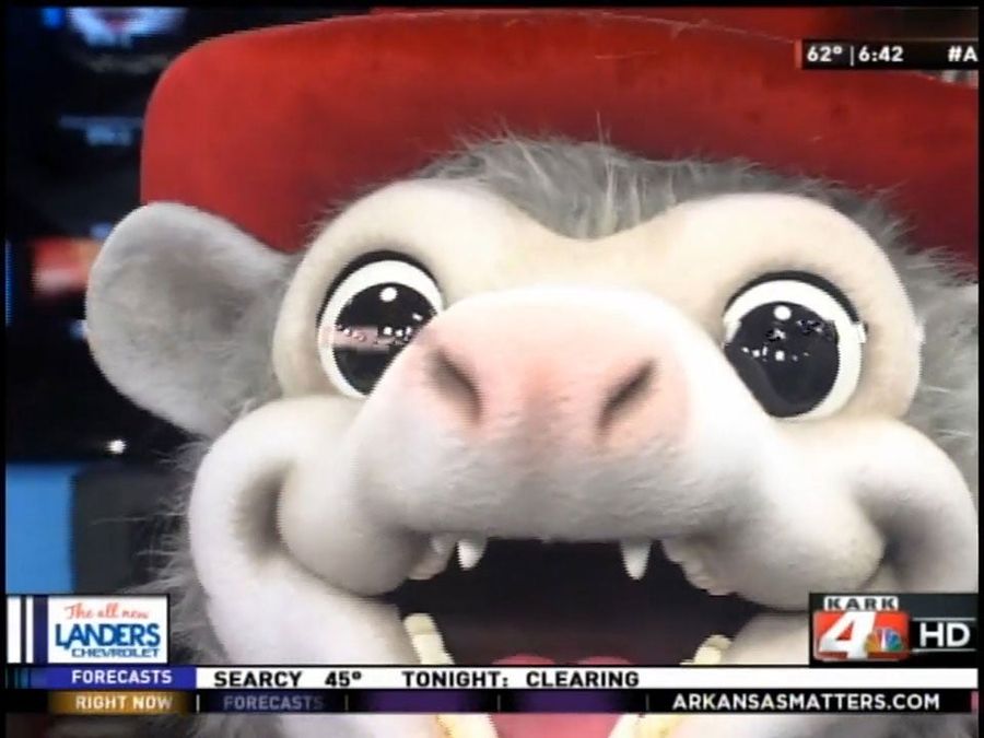 Arkansas Minor League Team Introduces Redneck Possum Mascot