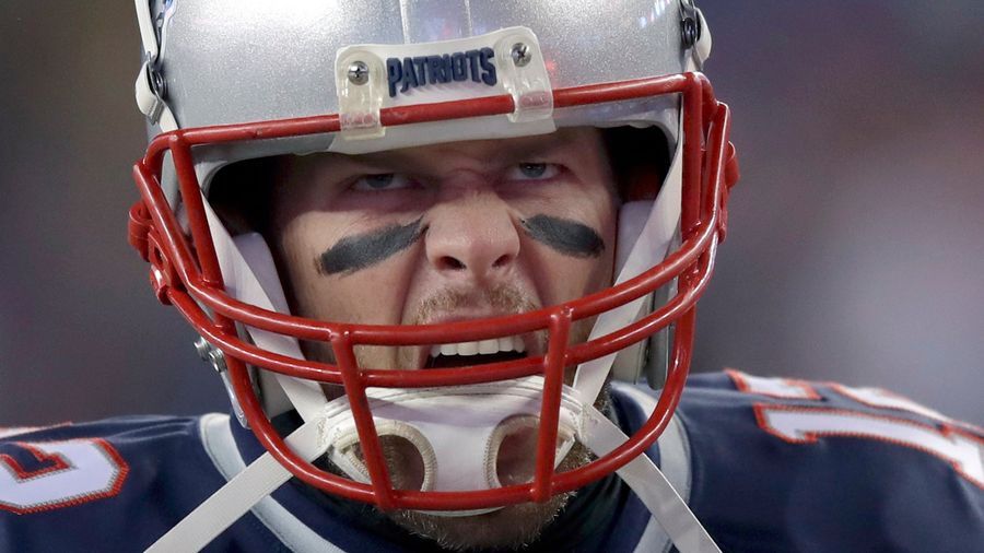 Fancy Dog Tom Brady Wants To Play Catch So Bad Oh Please Oh Please Just Huck That Ball So He Can Go Get It