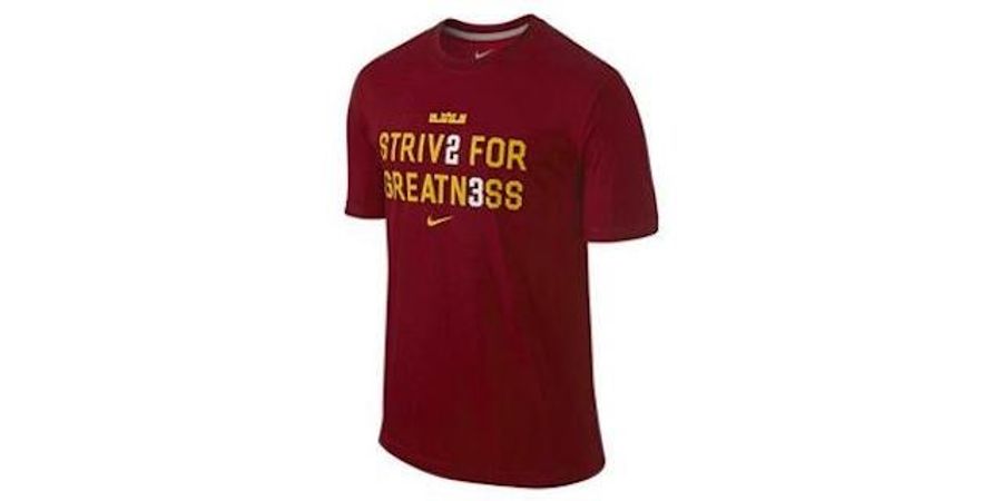 Look At This Stupid Fucking LeBron Shirt