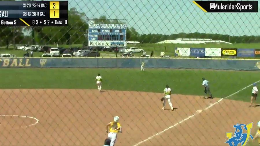 Softball Fan's Spectacular Catch Overshadowed By Even More Spectacular Fall Out Of Pickup Truck
