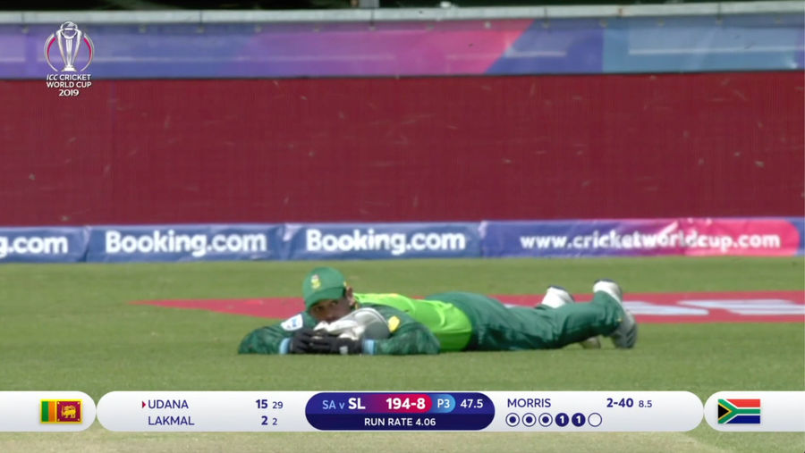 Bees Bug Cricketers