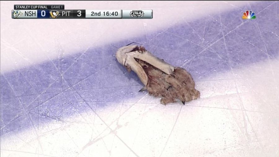 Preds Fan Who Threw Catfish On The Ice Charged With Possessing An Instrument Of A Crime, Disrupting A Meeting