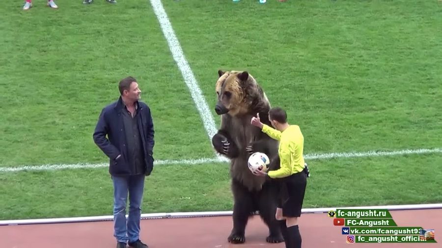 Enormous, Real-Life Bear Oversees Kickoff Of Russian Soccer Match
