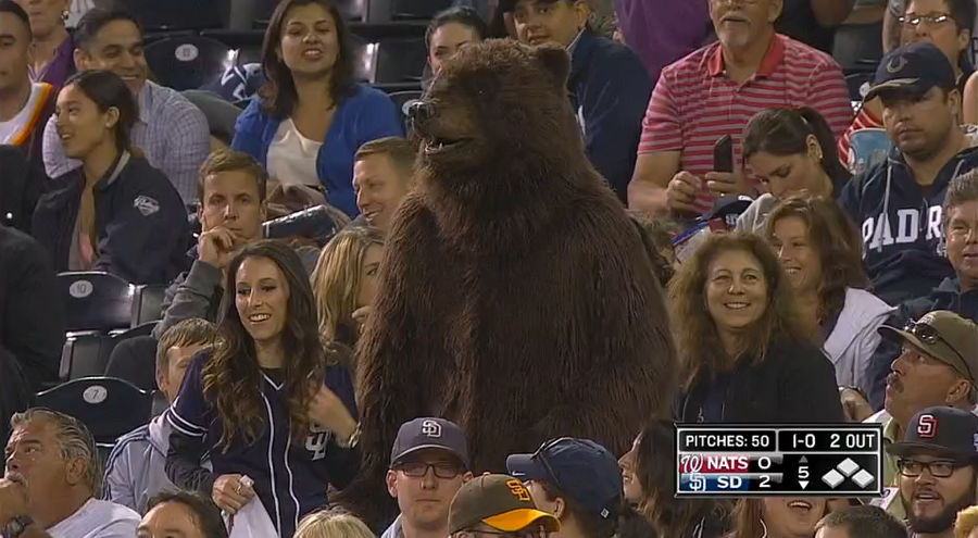 Someone Wore A Bear Suit To Petco Park