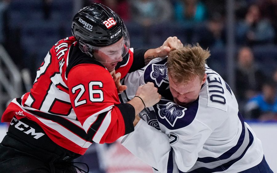 Fighting in hockey is taking its last breath