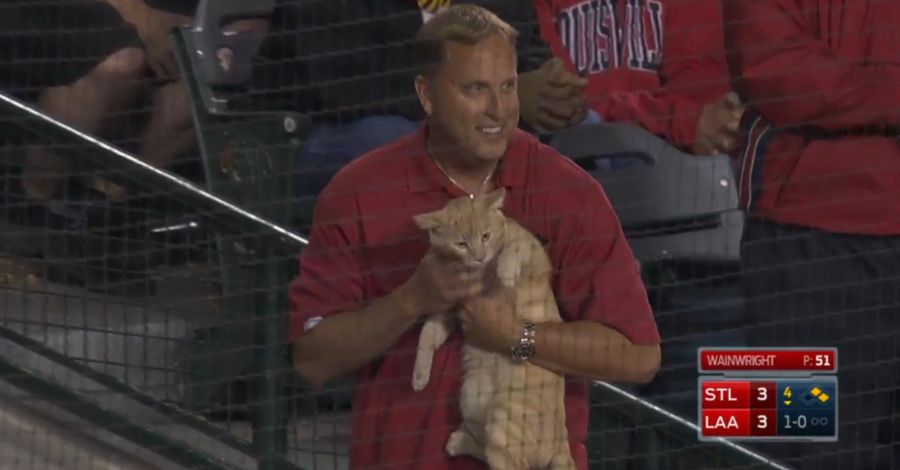 A Good Cat Got Loose On The Field At The Angels Game