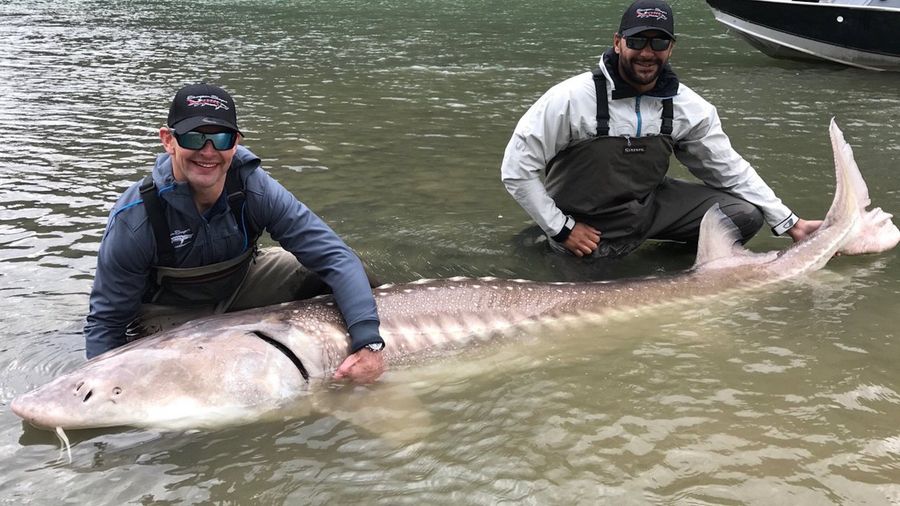 Winnipeg Jets Players Catch, Release River Monster