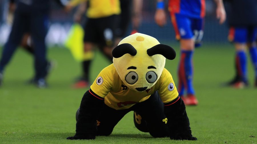Sam Allardyce Pissed Off At Watford&#39;s Mascot For Making Fun Of Player&#39;s Dive