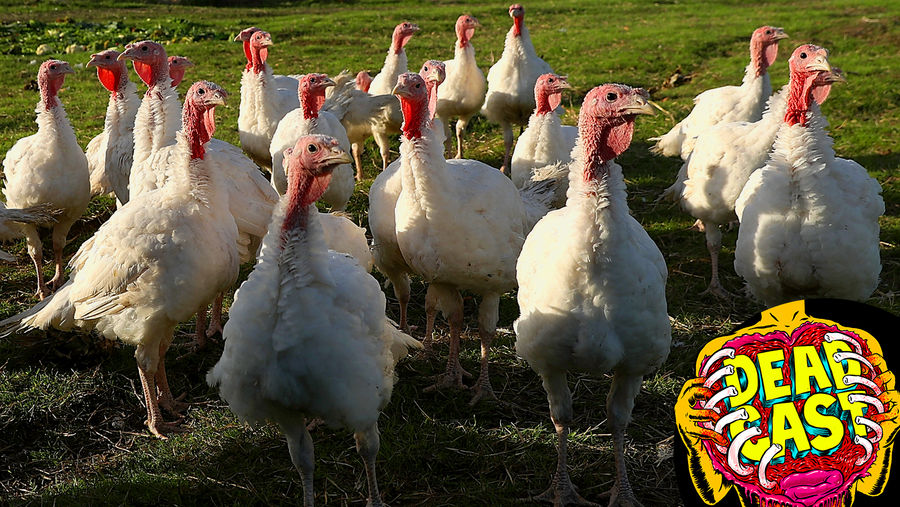 Thanksgiving Is The Last Good Holiday