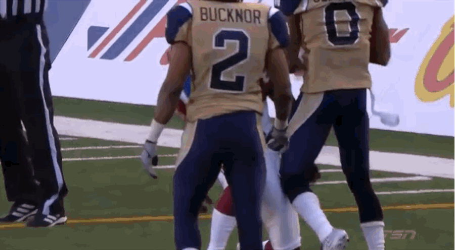 Chad Johnson Scores First Touchdown In CFL, Hugs Reluctant Official