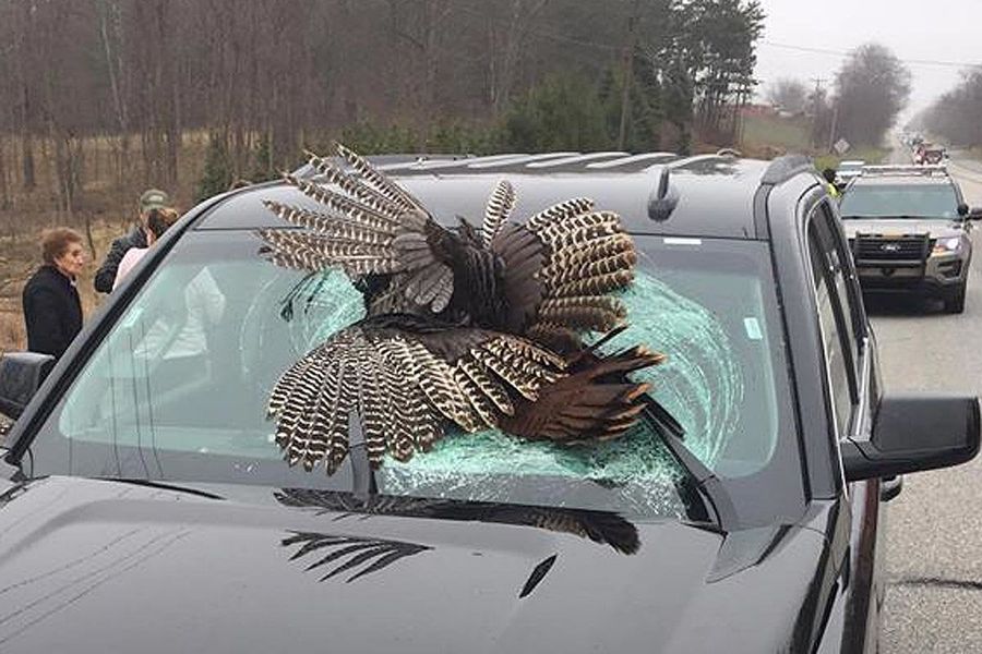 Turkey Misses Mark