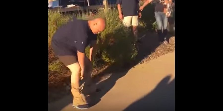 Cowboys Fan Gets Punched, Loses Pants