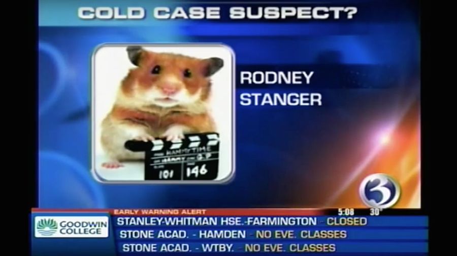 What Are Your Favorite News Bloopers?