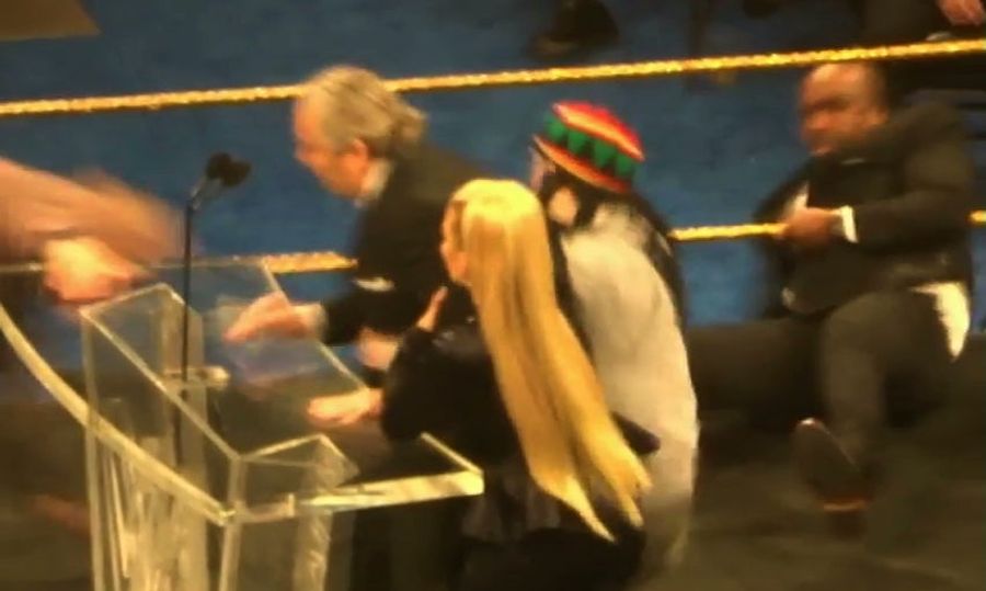 Idiot In The Ring Tackles Bret Hart During WWE Hall Of Fame Ceremony