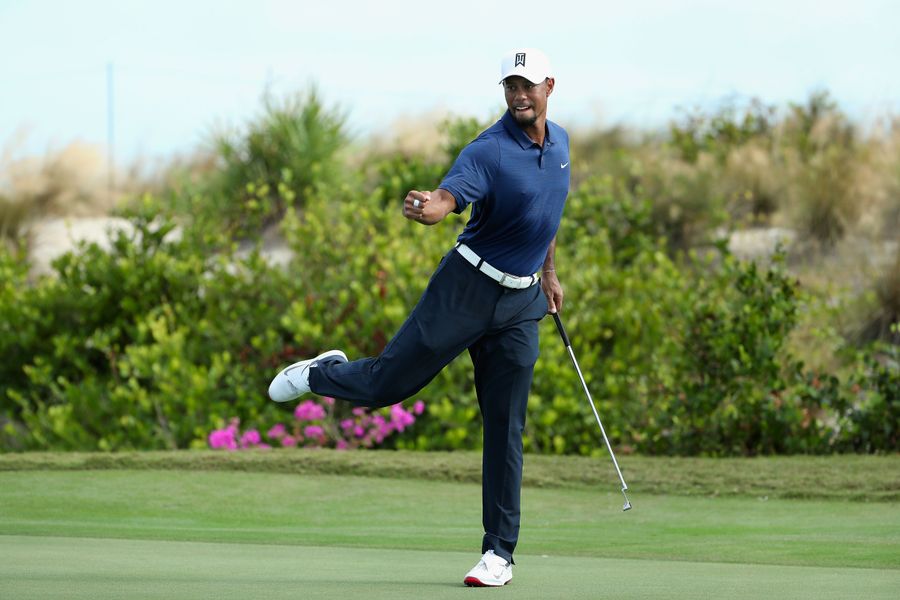 Broken Tiger Woods Now Reassembled For Golf Functionality