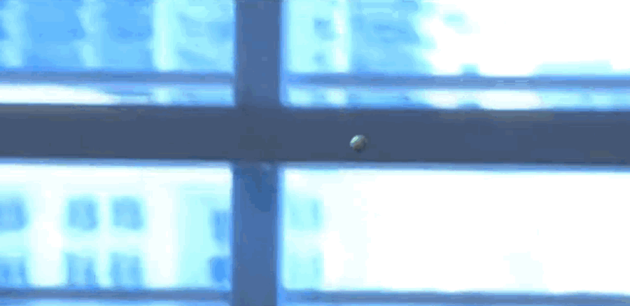 Giancarlo Stanton's Moonshot Topped Only By The Fan Who Caught It
