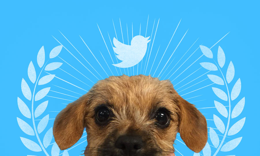 These Are The Animal Wranglers Behind The Internet's Only Good Twitter Account