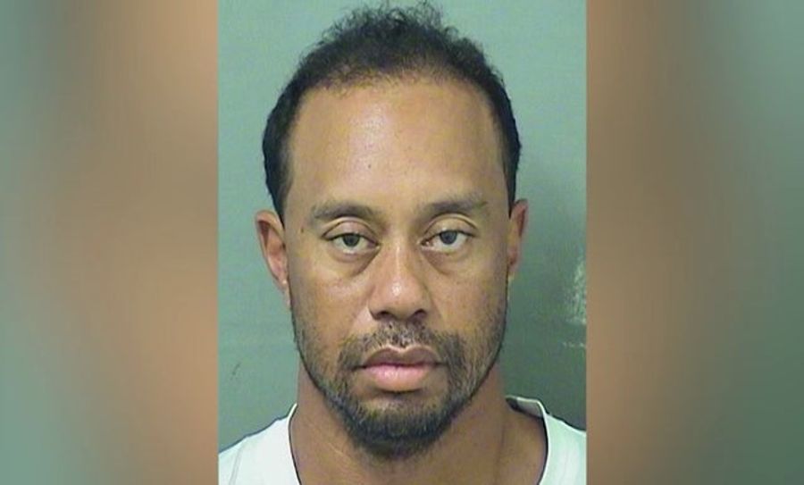 Here Are The Full Police Reports From Tiger Woods&#39;s DUI Arrest<em></em>