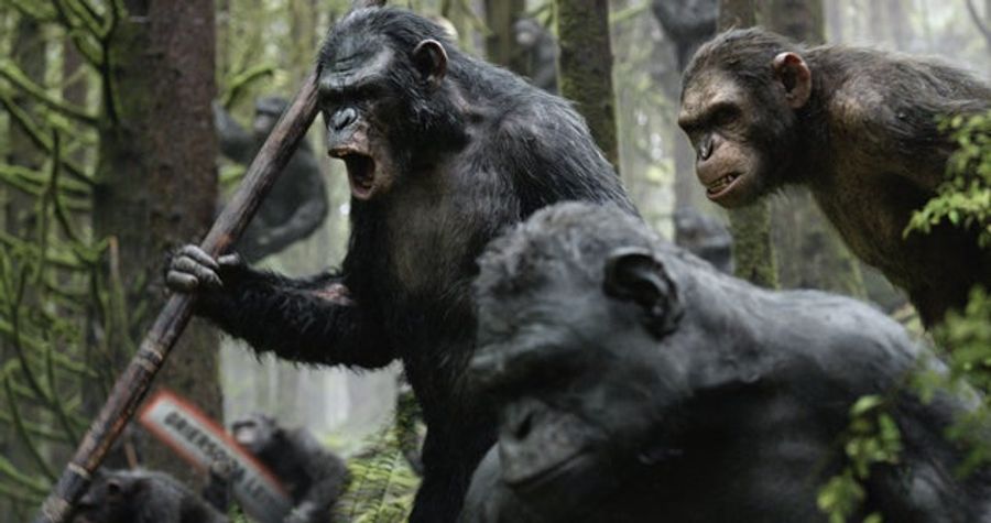 Great Ape: <em>Dawn Of The Planet Of The Apes</em>, Reviewed