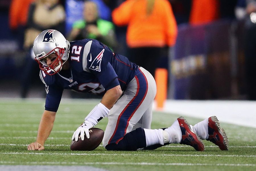 More Evidence That Tom Brady Is A Fancy Dog