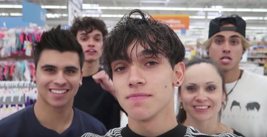 Popular Twin Vloggers Are The Sons Of Former Romanian World Champion Gymnast