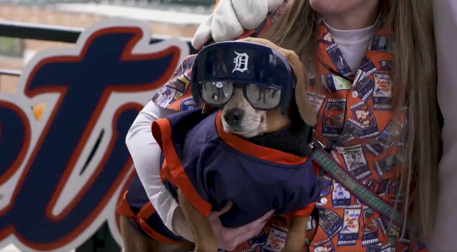 These Poor Dogs Had To Watch 11 Innings Of Tigers-Marlins Baseball On A Chilly Tuesday Night