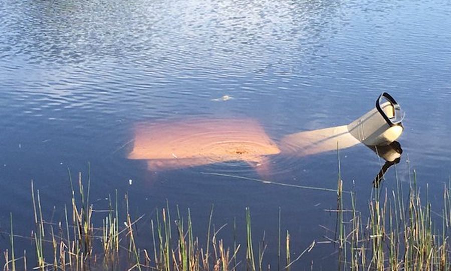 Mookie Betts Drove A Golf Cart Right Into A Lake
