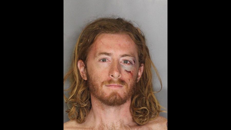 Will The First Amendment Save The Kevin Johnson Pie Bandit?<em></em>