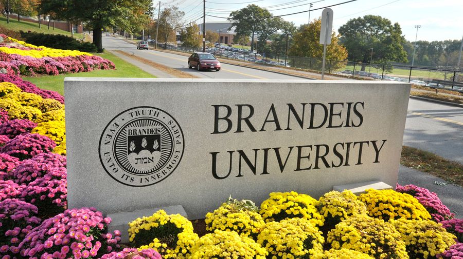 Brandeis Cleans House After Investigation Into Basketball Coaching Abuse