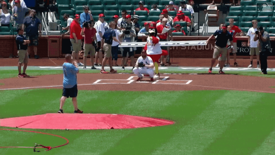 Noggin Bonked By Errant First Pitch