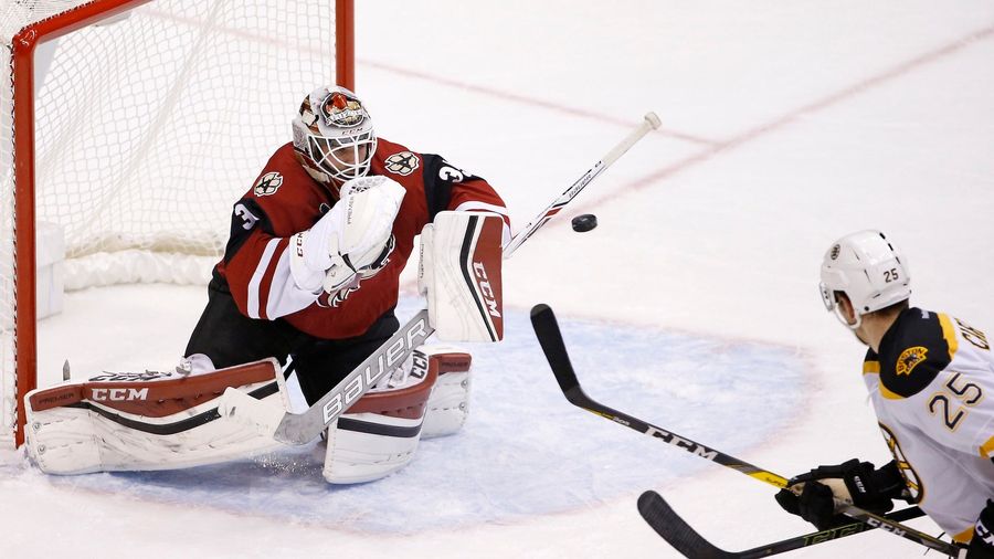 The Coyotes Want Taxpayers To Pay For A New Arena In Tempe
