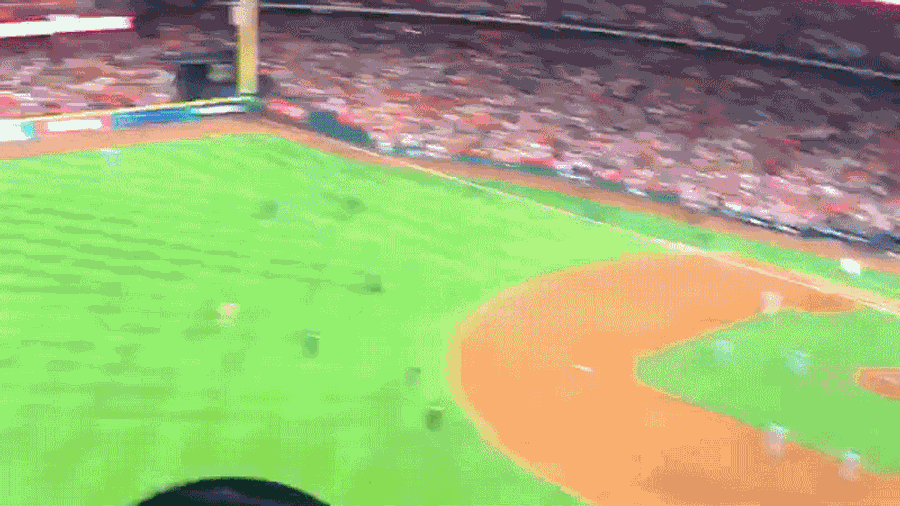 Oh Yeah, And There Was An Idiot On The Field