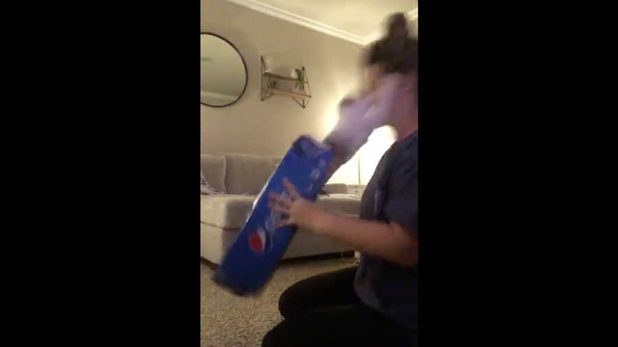 The Sports Highlight Of The Day Is This Little Cat Launching A Sneak Attack