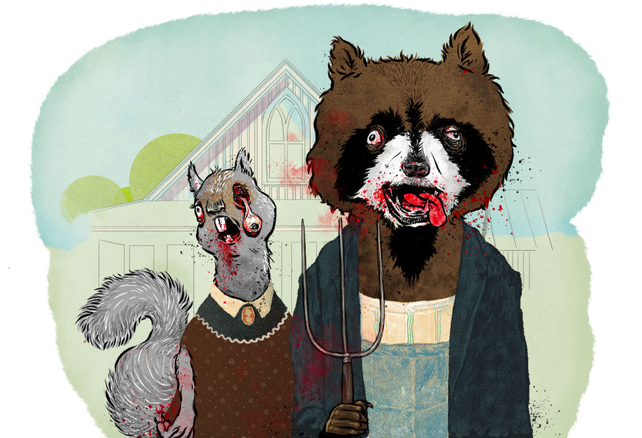 Roadkill Crafts: A Squeamish Beginner's Guide