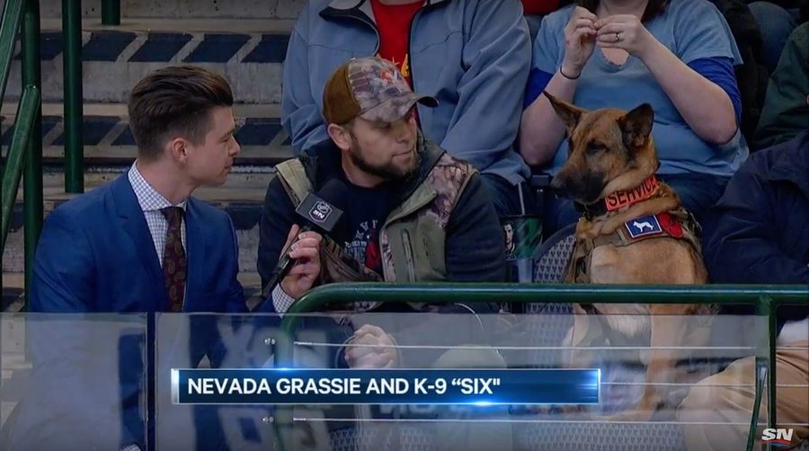 Chill Dog Enjoys Hockey Game